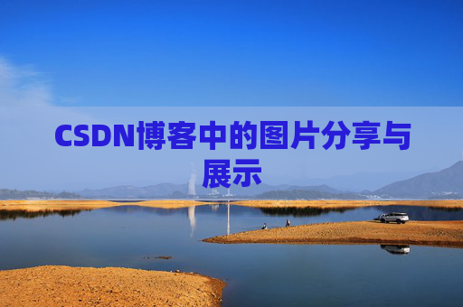 CSDN博客中的图片分享与展示